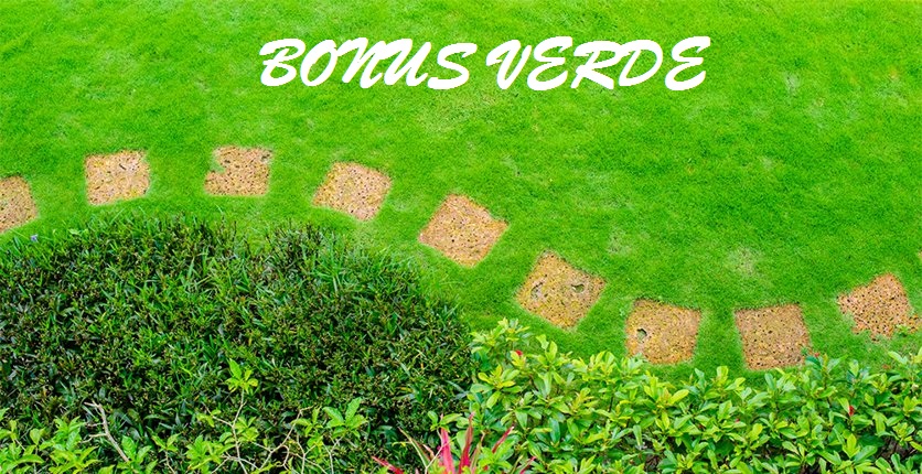 Bonus verde 2018