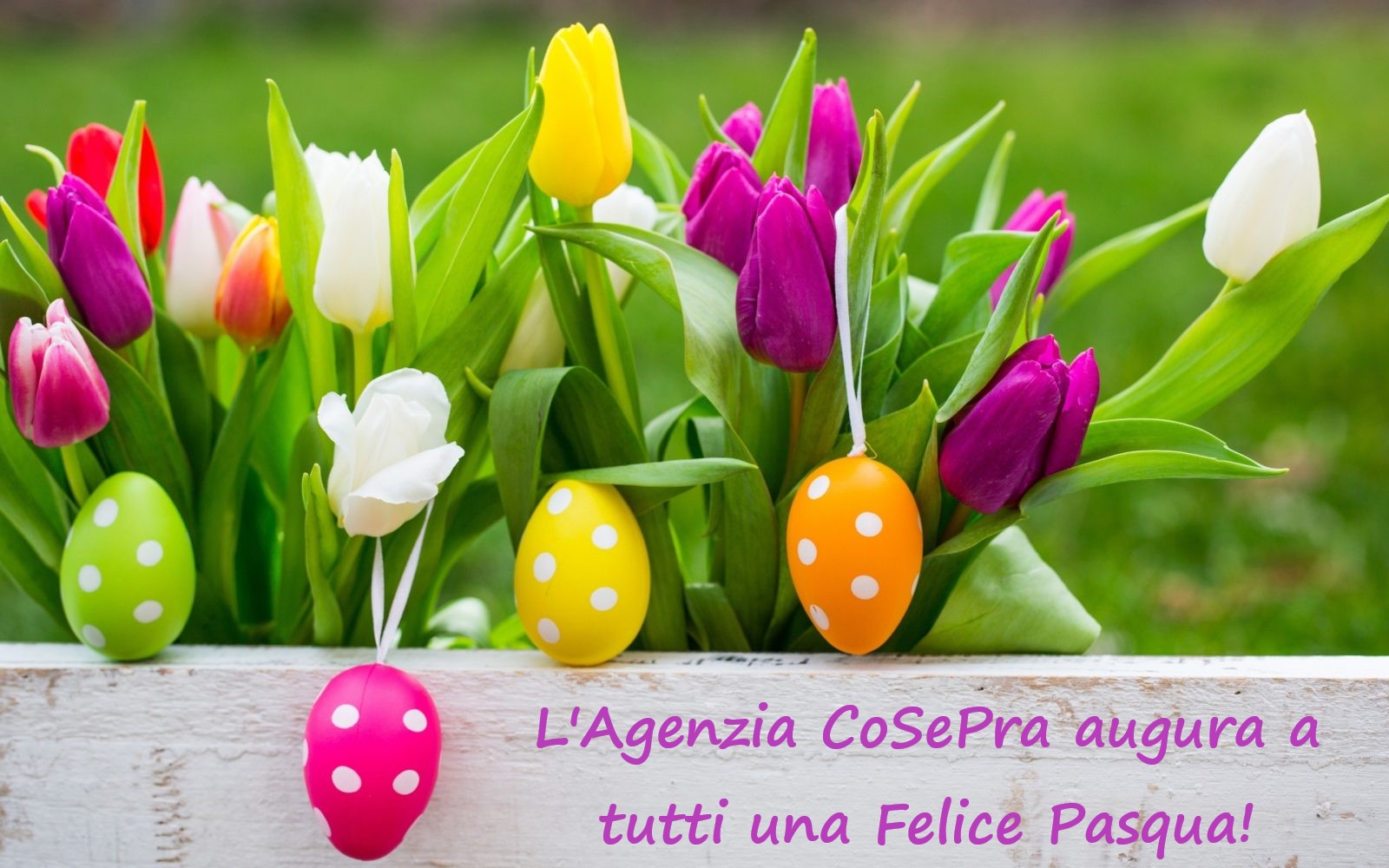 Chiusura per Pasqua